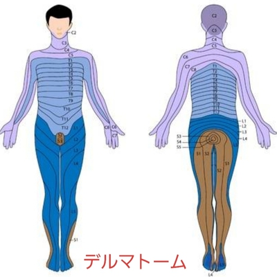 左胸の痛みについて